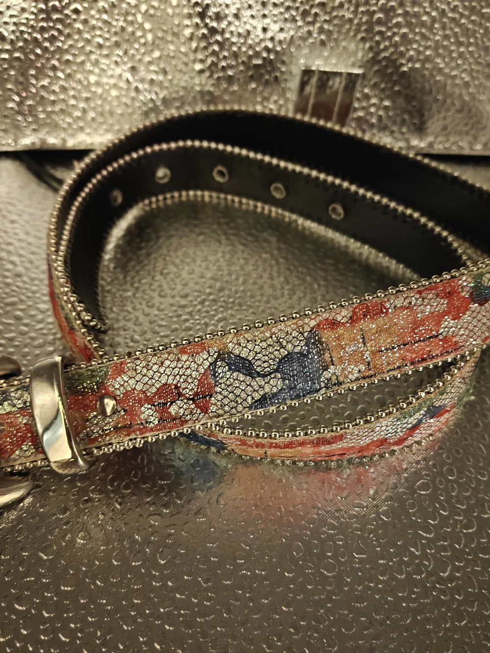 Women's Vintage Floral Embroidered Belt with Silver Buckle - Black Trim